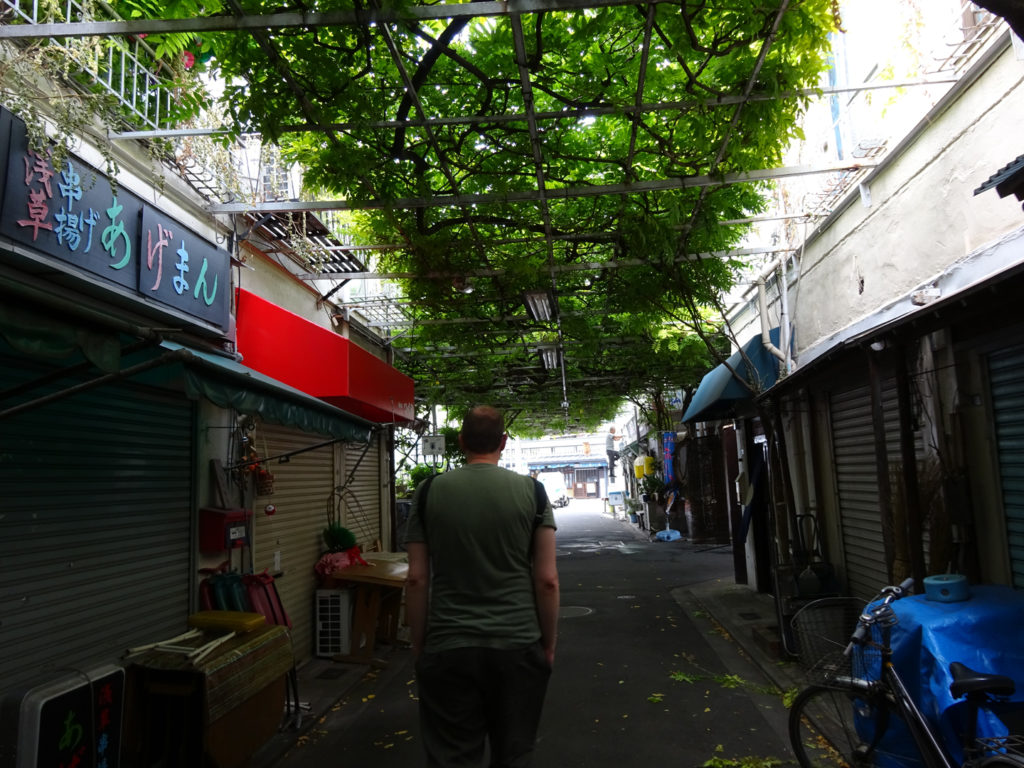 Nimu de dos dans une ruelle à Tokyo